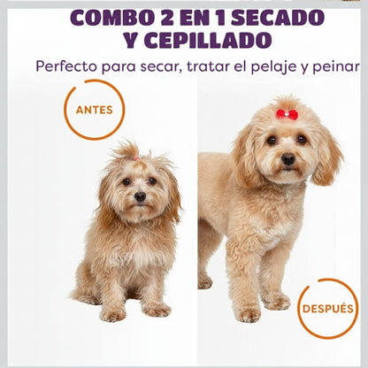💨 Secador-Cepillo 2 en 1: Pelaje Suave, Secado Rápido y Sin Estrés