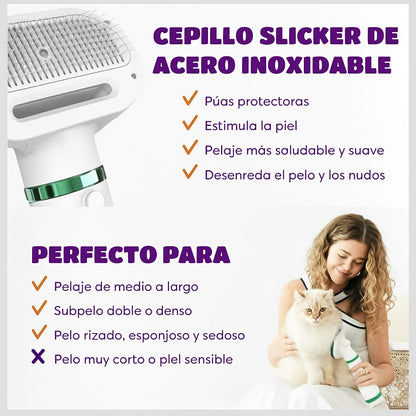 💨 Secador-Cepillo 2 en 1: Pelaje Suave, Secado Rápido y Sin Estrés