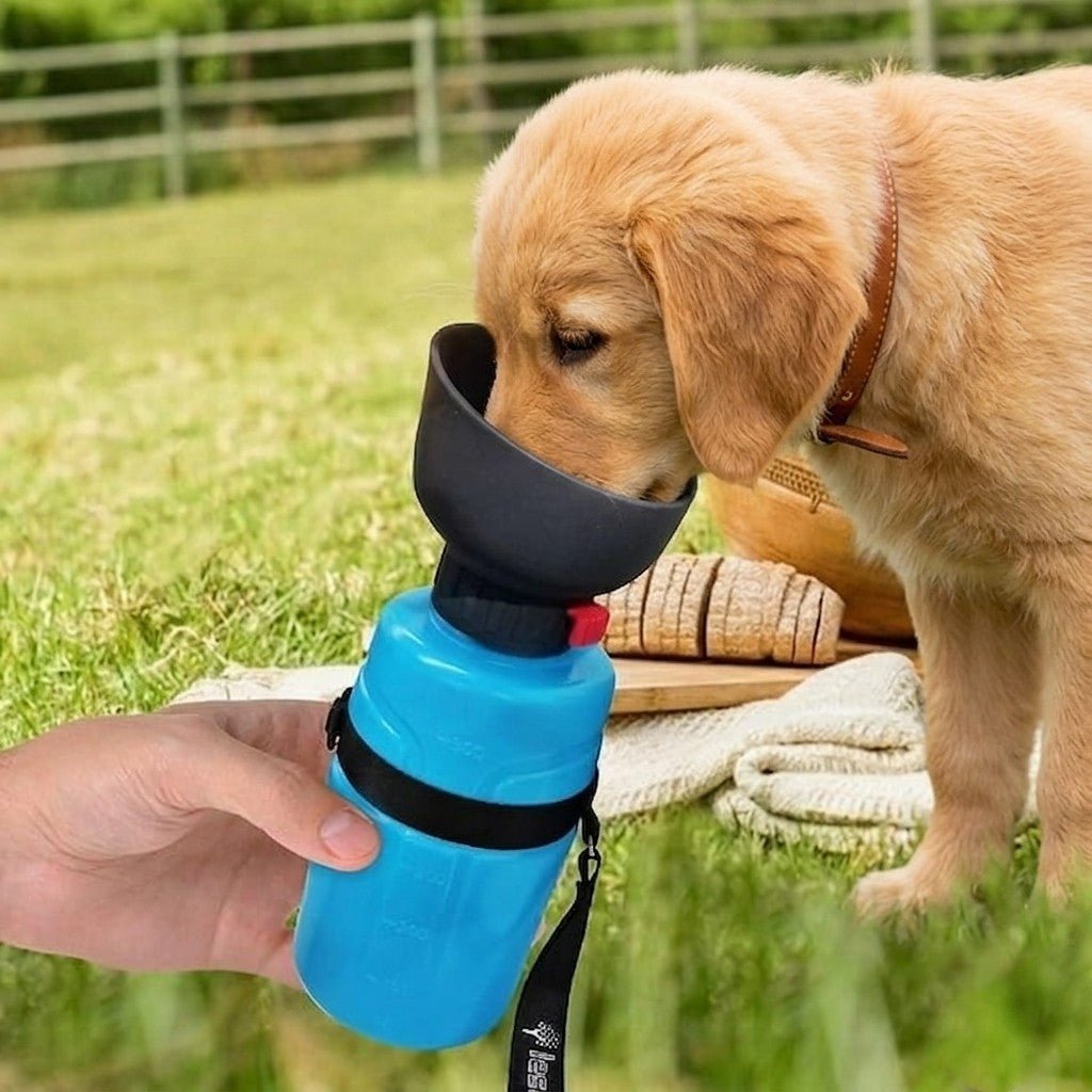 Botella de agua plegable para mascotas - CasaPeluda
